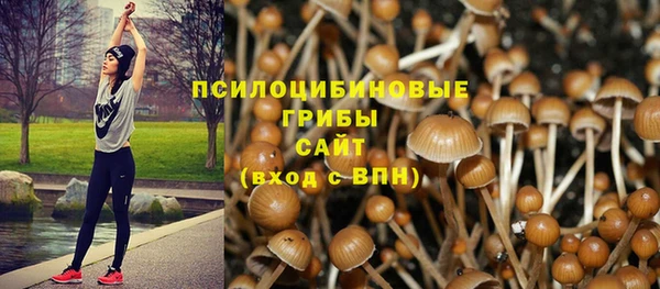 амфетамин Алексеевка