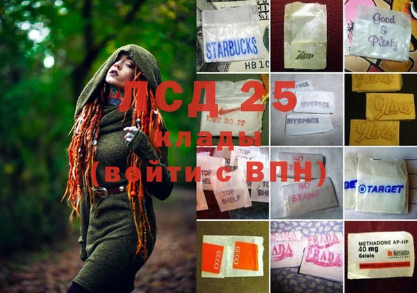 ПСИЛОЦИБИНОВЫЕ ГРИБЫ Алзамай
