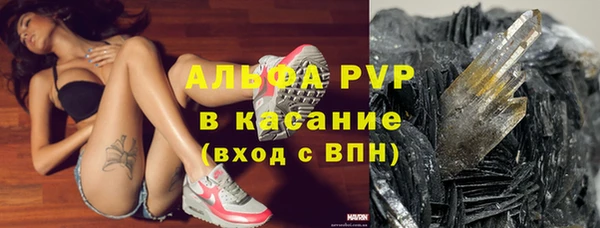 ПСИЛОЦИБИНОВЫЕ ГРИБЫ Алзамай