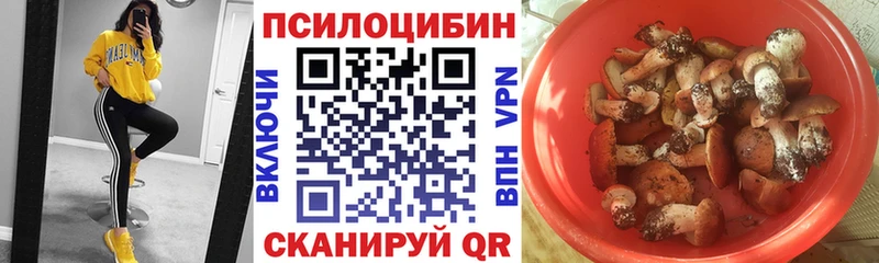 как найти закладки  мега сайт  Галлюциногенные грибы Psilocybe  Крым 